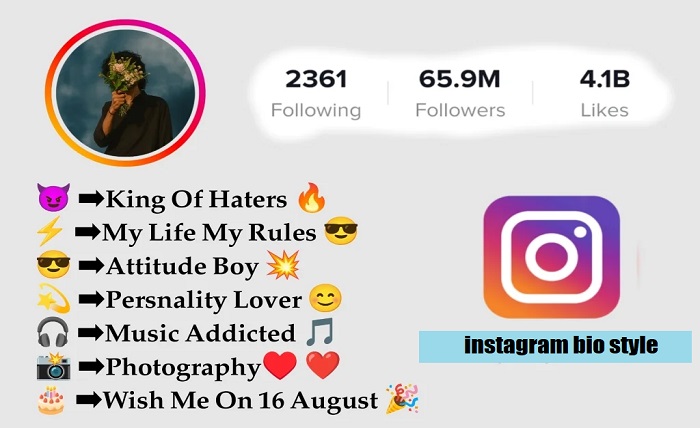 instagram bio style