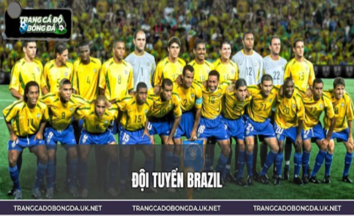 Brazil National Team