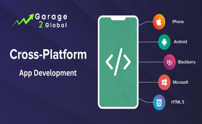 cross-platform app development by garage2global