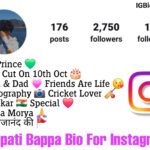 Ganpati Bappa Bio For Instagram