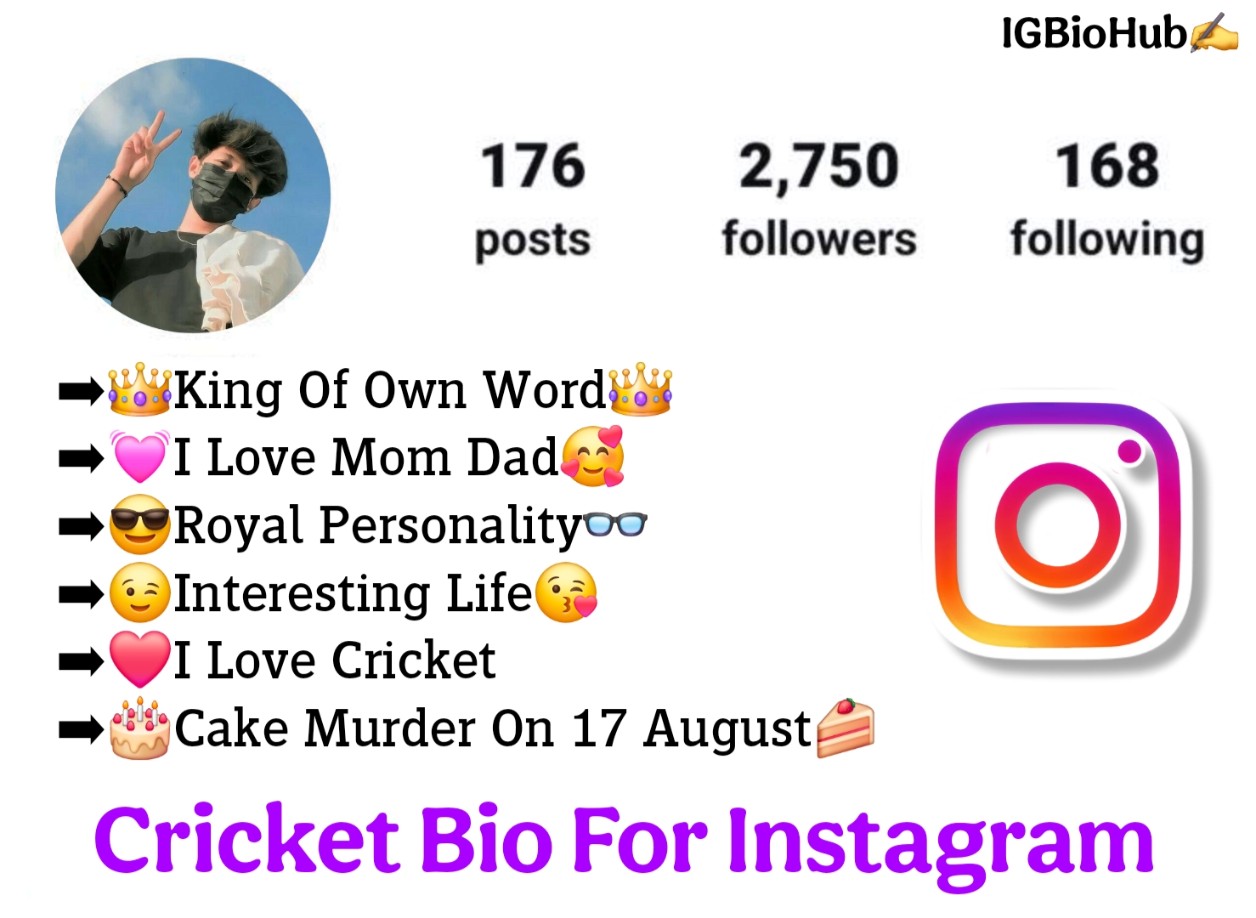 500+ Best Instagram Bio For Cricket Lovers | Cricket Bio For Instagram 2025