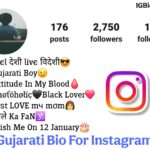 Instagram Bio in Gujarati